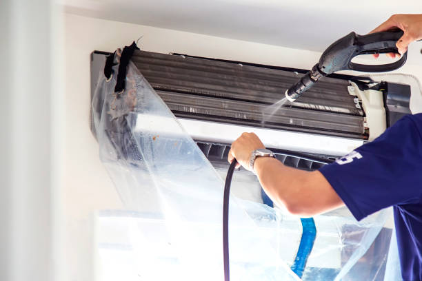 Best Mold and Mildew Removal from Ducts in Foley, MN