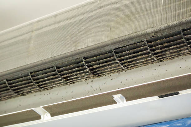 Best Residential Air Duct Cleaning in Foley, MN